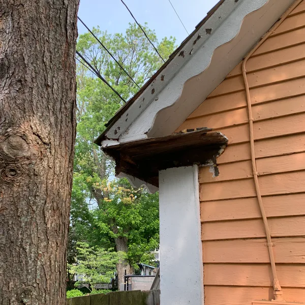 Architectural Trim restoration, Washington DC — photograph 14