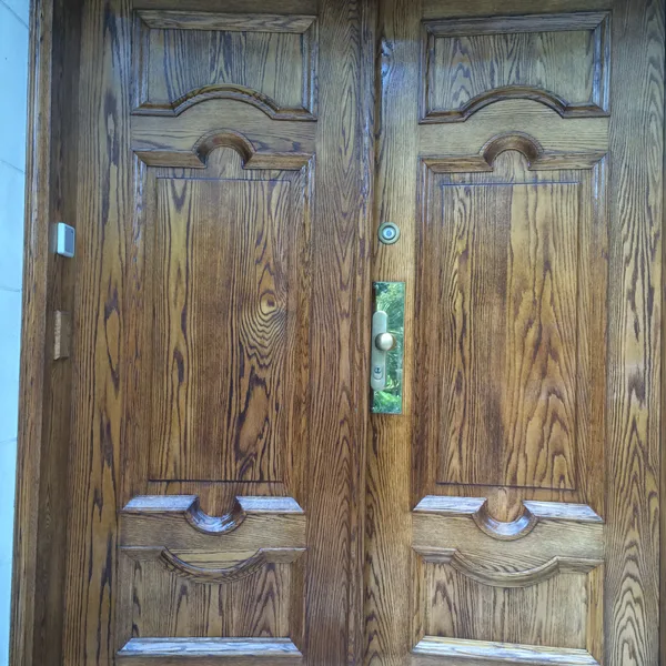 Doors restoration, Washington DC — photograph 23