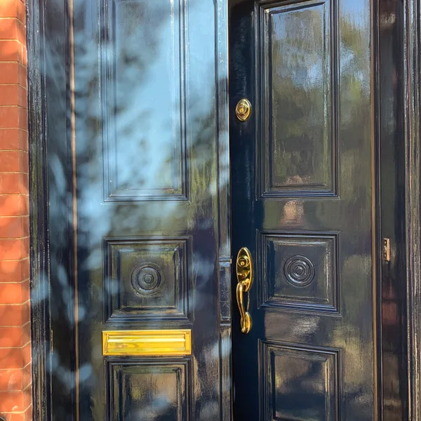 Doors restoration, Washington DC — photograph 44